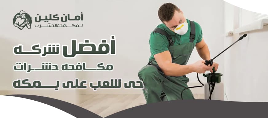 شركة مكافحة حشرات حي شعب علي بمكة